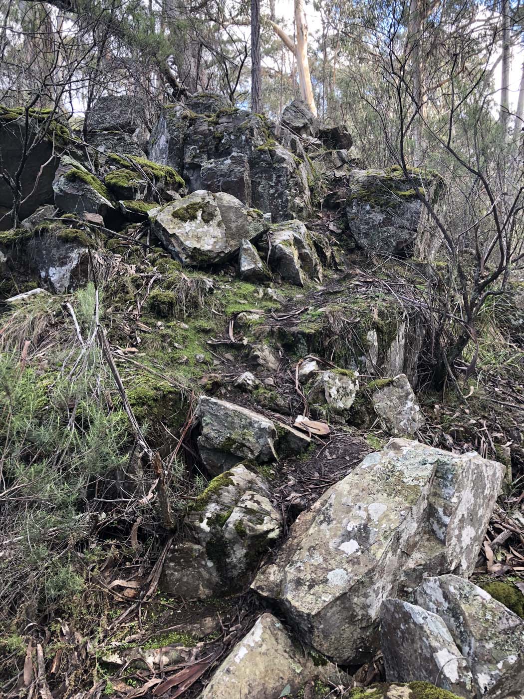 Whisky creek circuit hike (29)