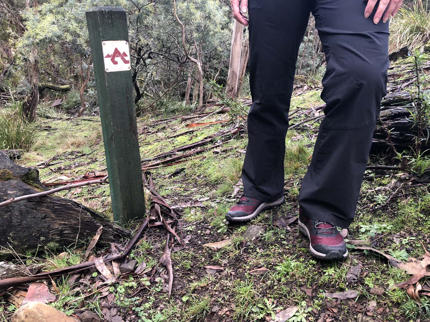 Whisky creek circuit hike (3)