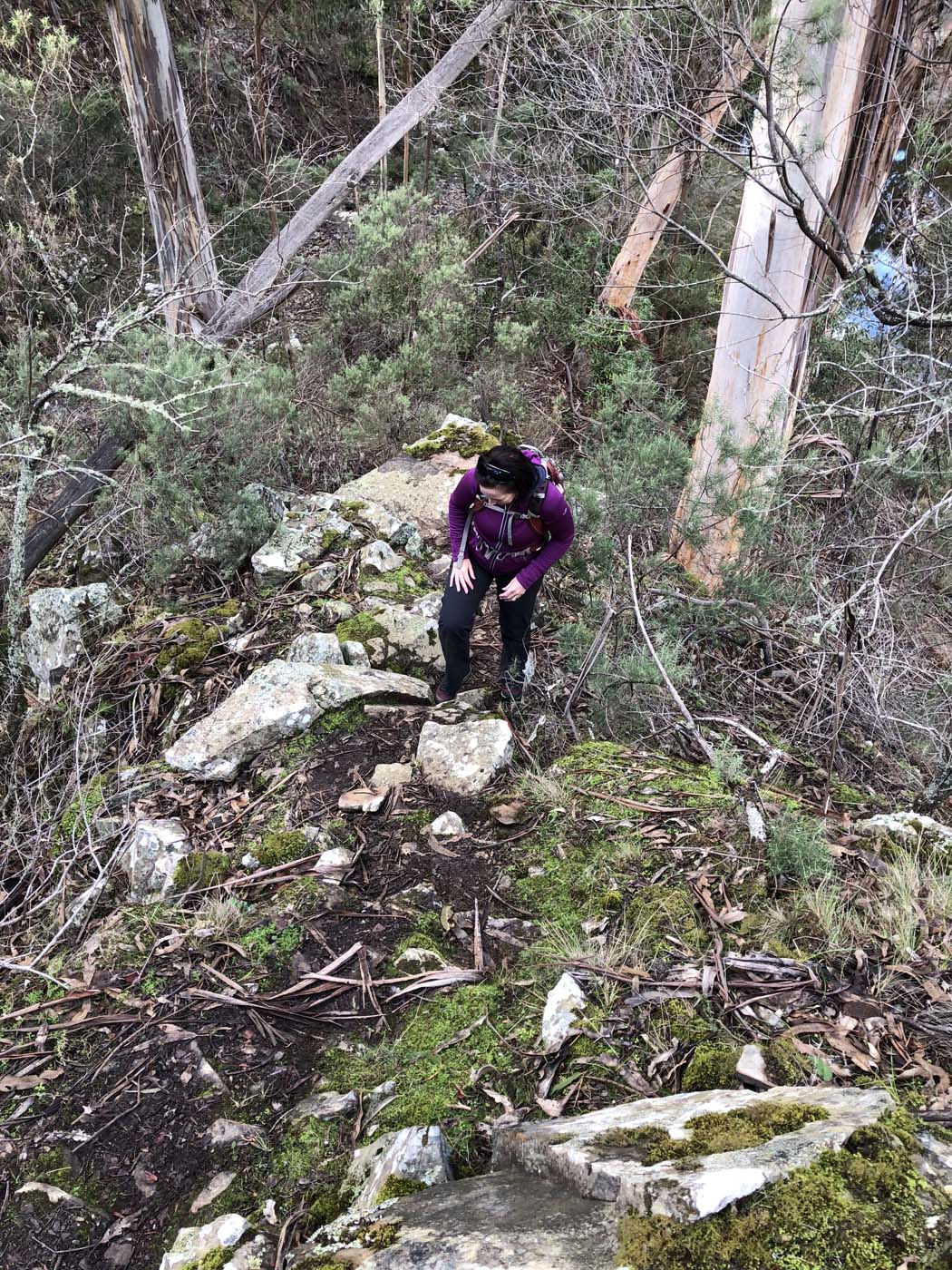 Whisky creek circuit hike (30)