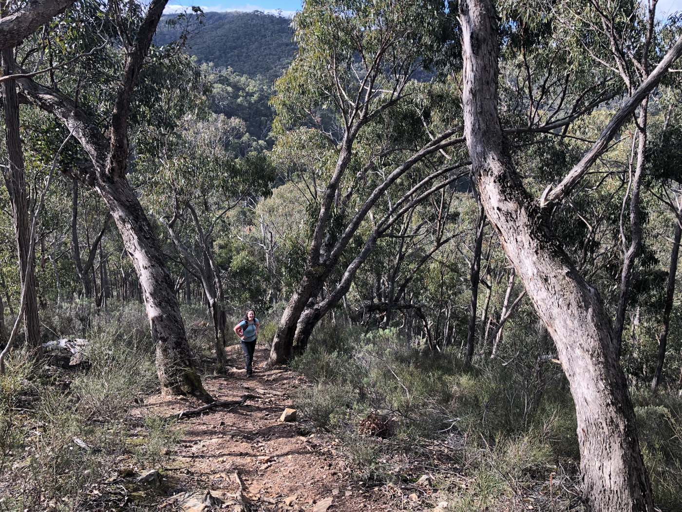 Whisky creek circuit hike (31)