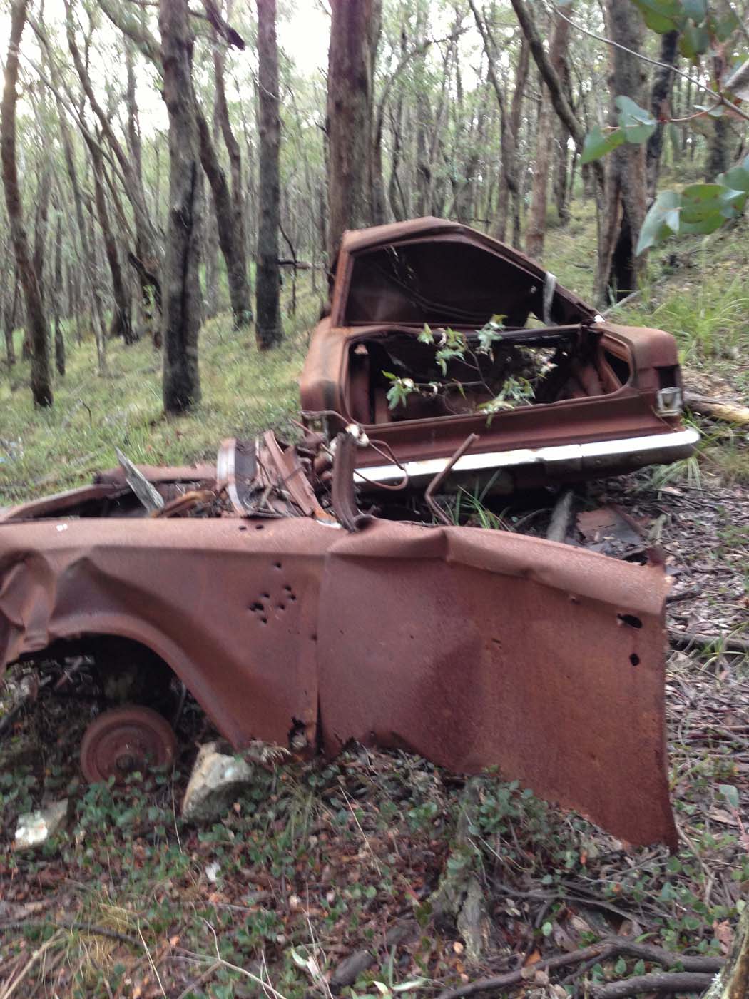 Whisky creek circuit hike (35)