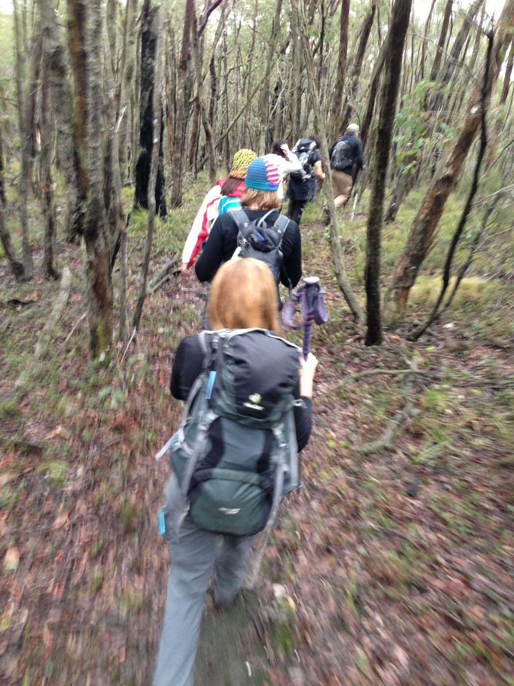 Whisky creek circuit hike (37)