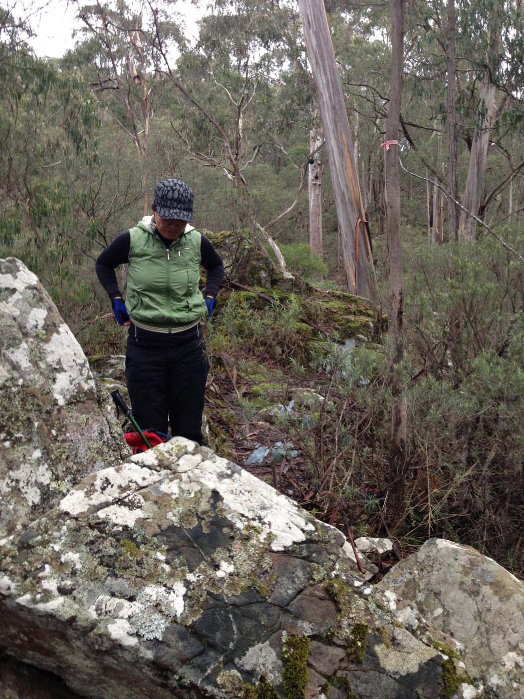 Whisky creek circuit hike (39)