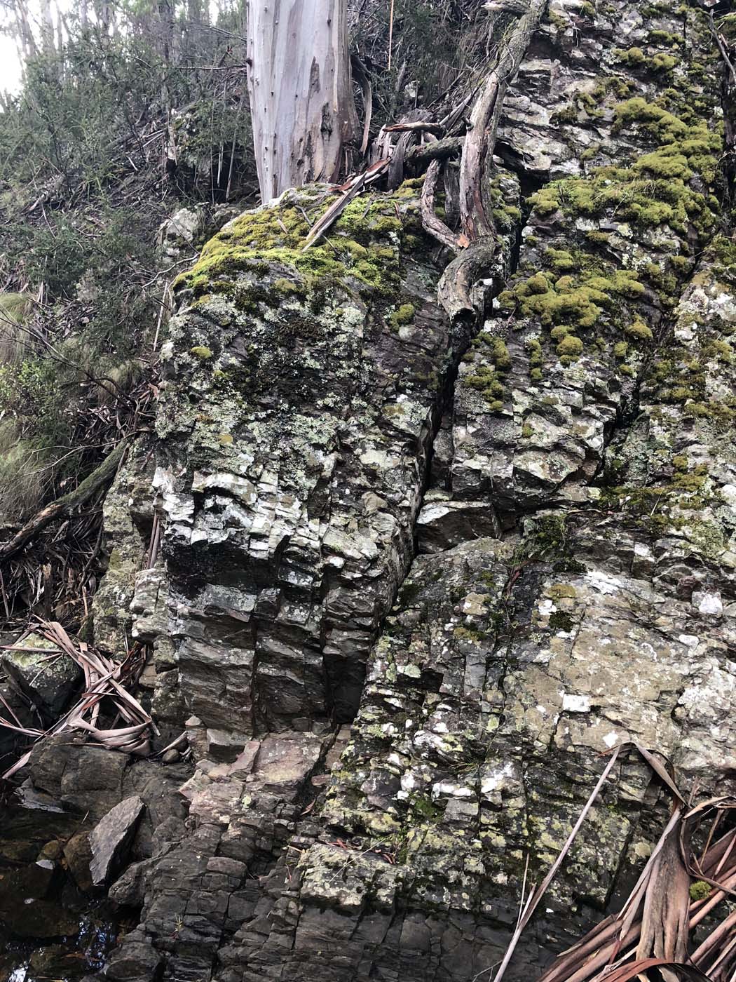 Whisky creek circuit hike (4)