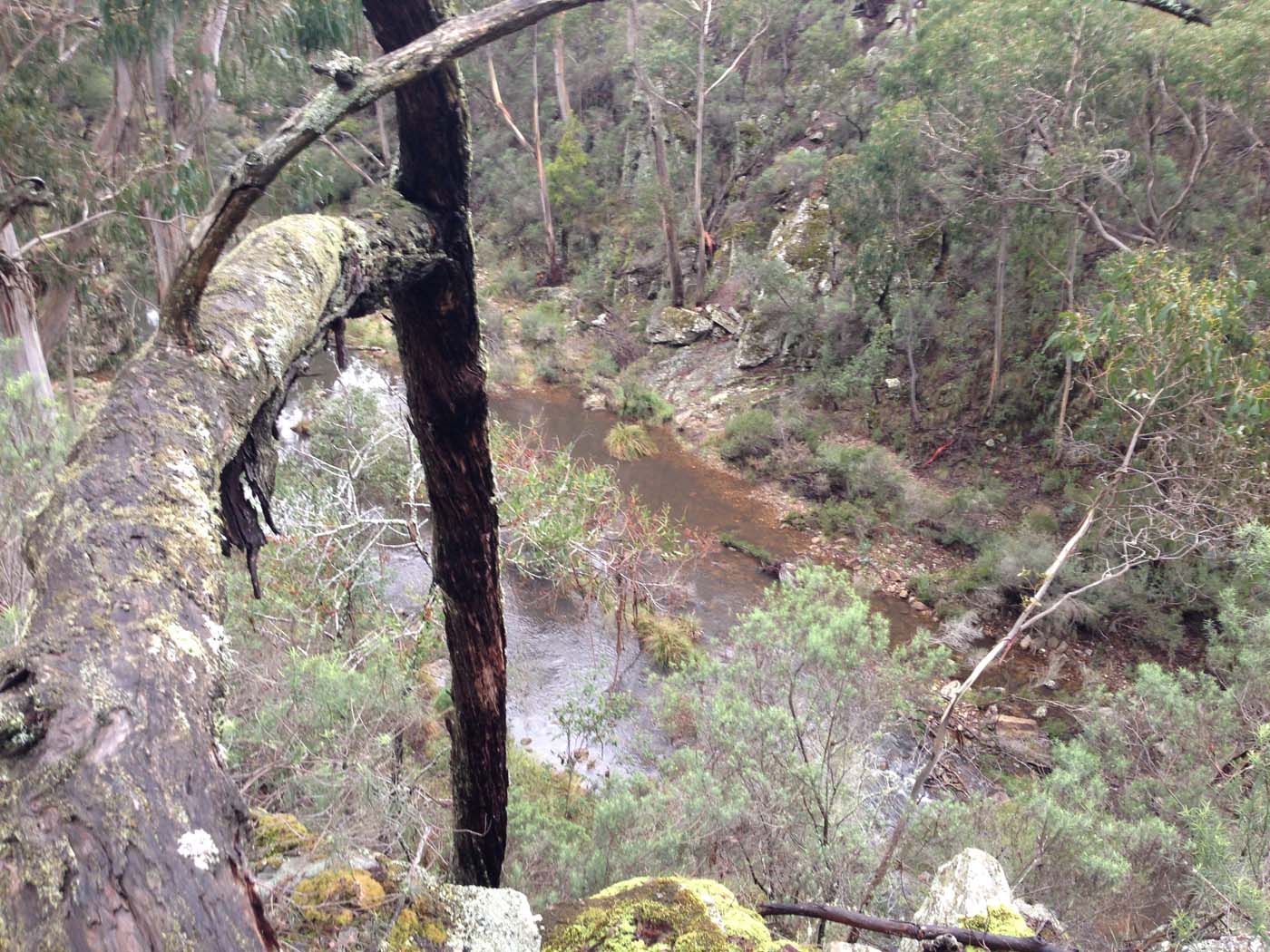 Whisky creek circuit hike (40)