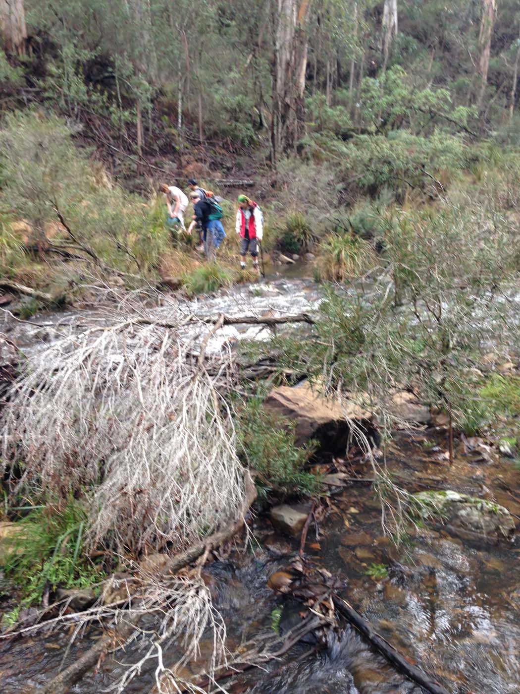 Whisky creek circuit hike (42)