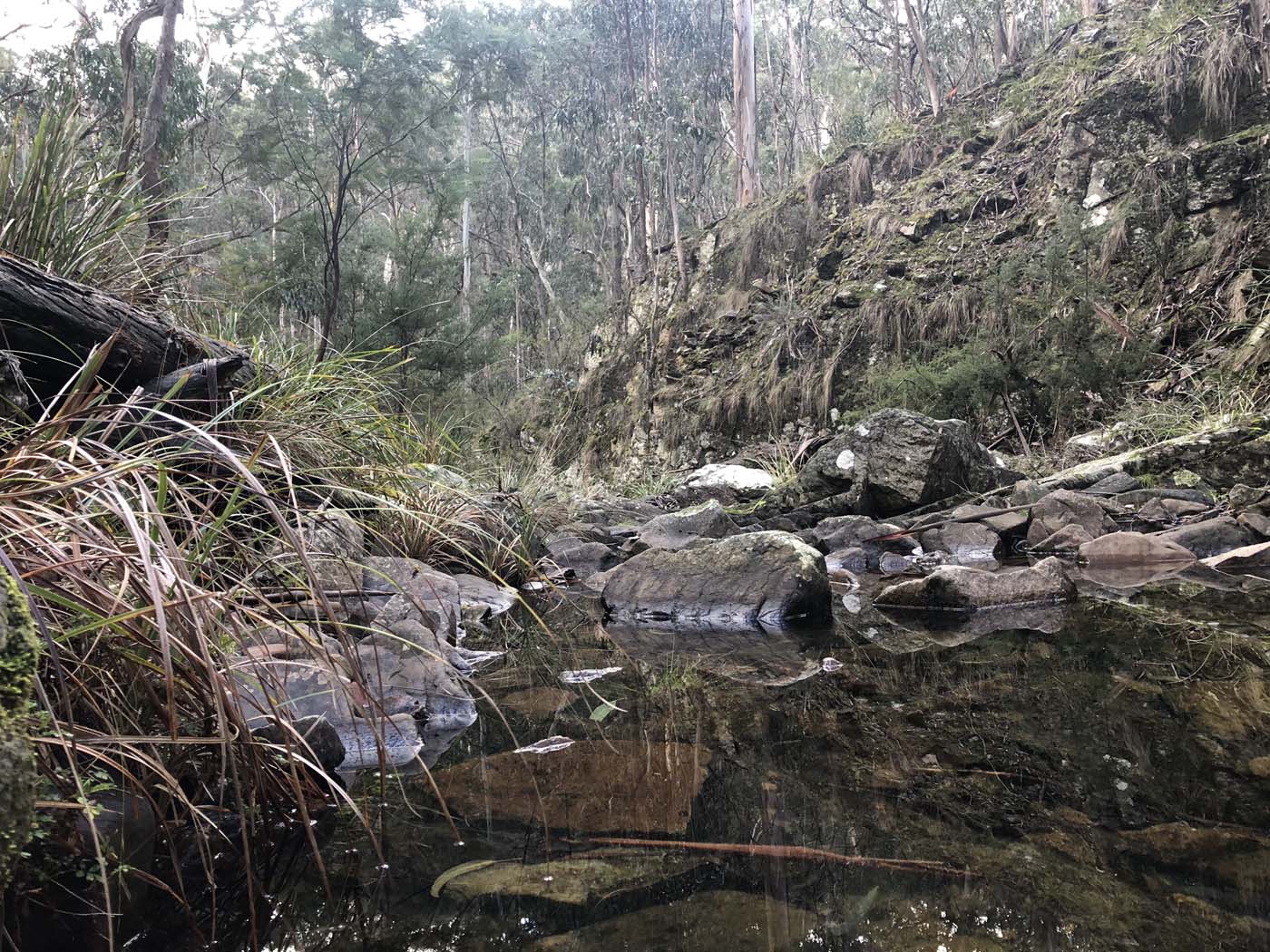 Whisky creek circuit hike (5)