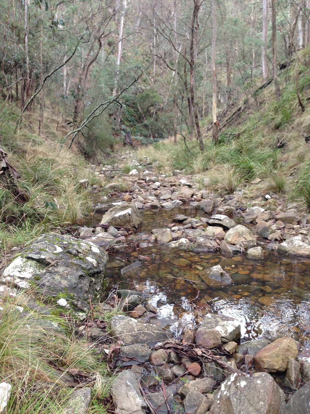 Whisky creek circuit hike (52)