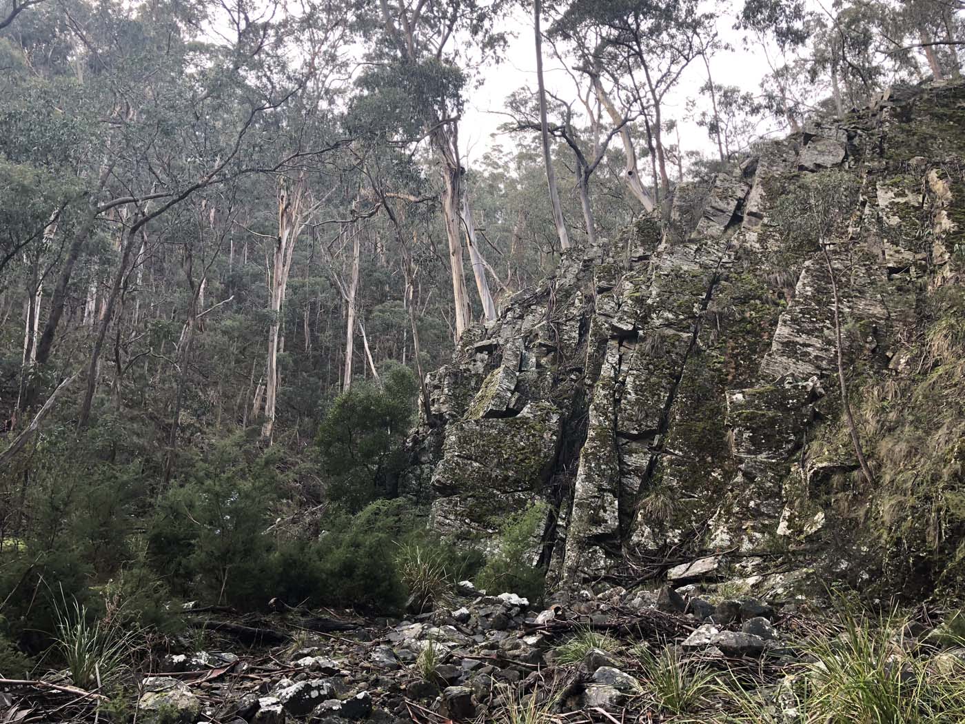 Whisky creek circuit hike (6)