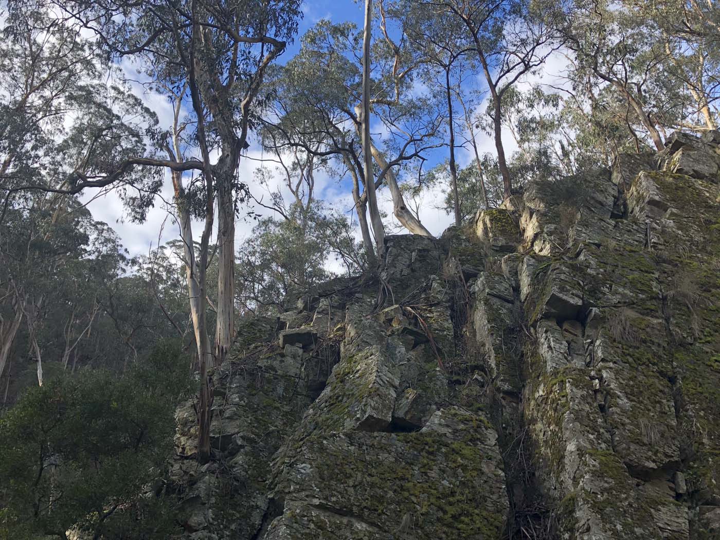 Whisky creek circuit hike (7)