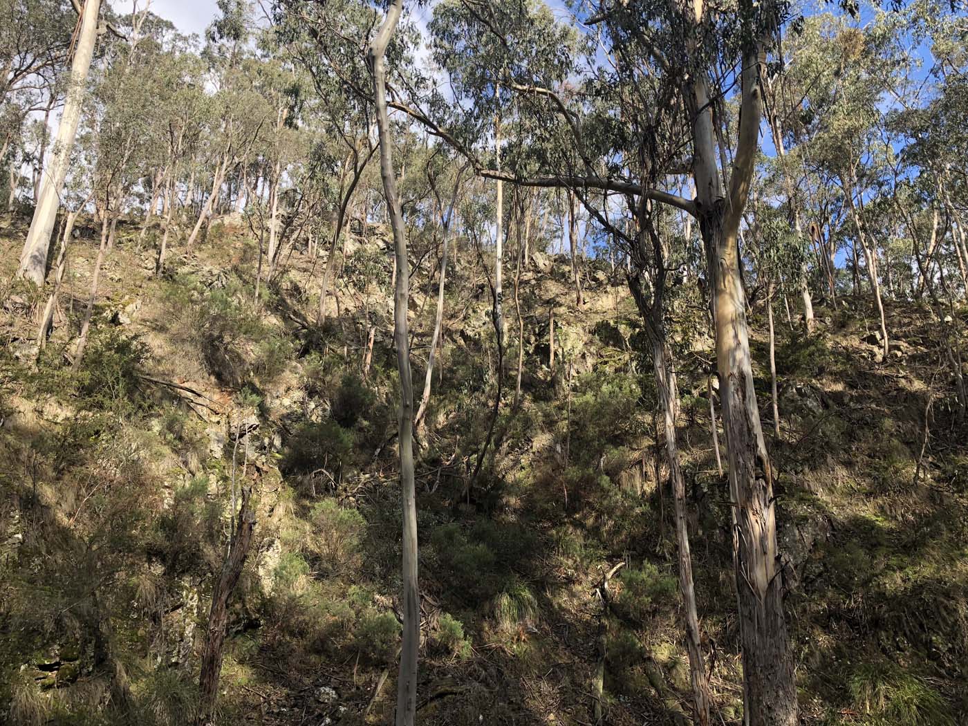 Whisky creek circuit hike (9)