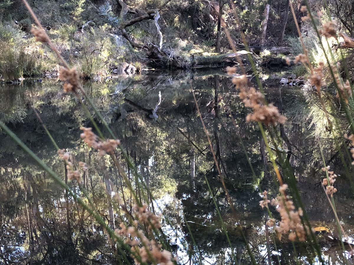 Whiskey on the rocks hike 22