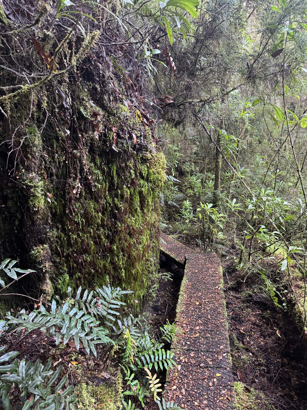 Whyte river walk (10)