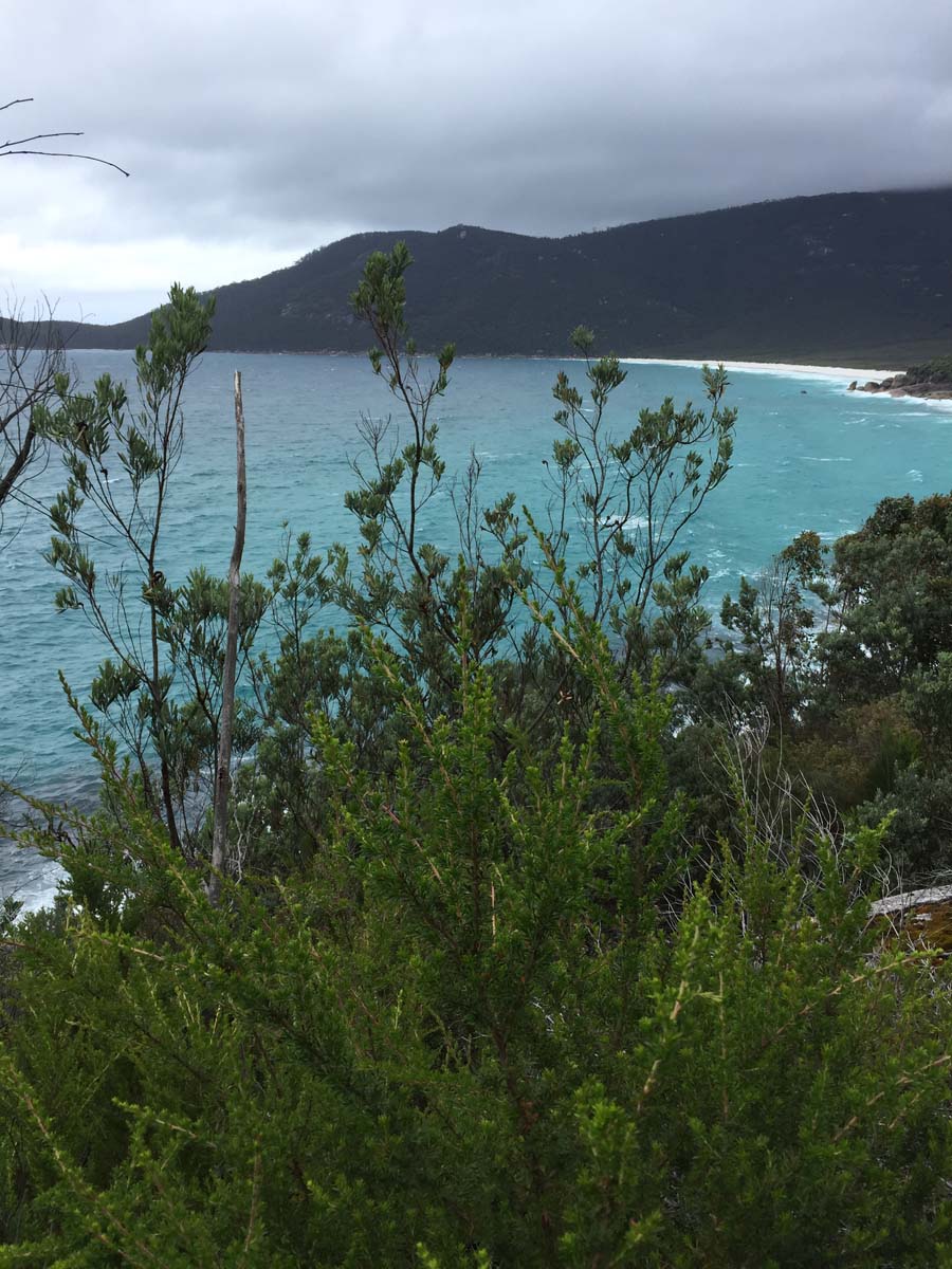 Wilsons prom eastern circuit hike 10