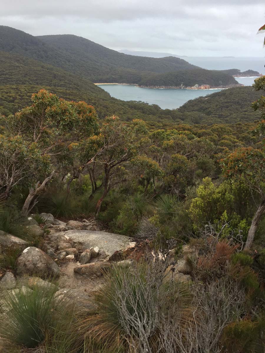 Wilsons prom eastern circuit hike 21