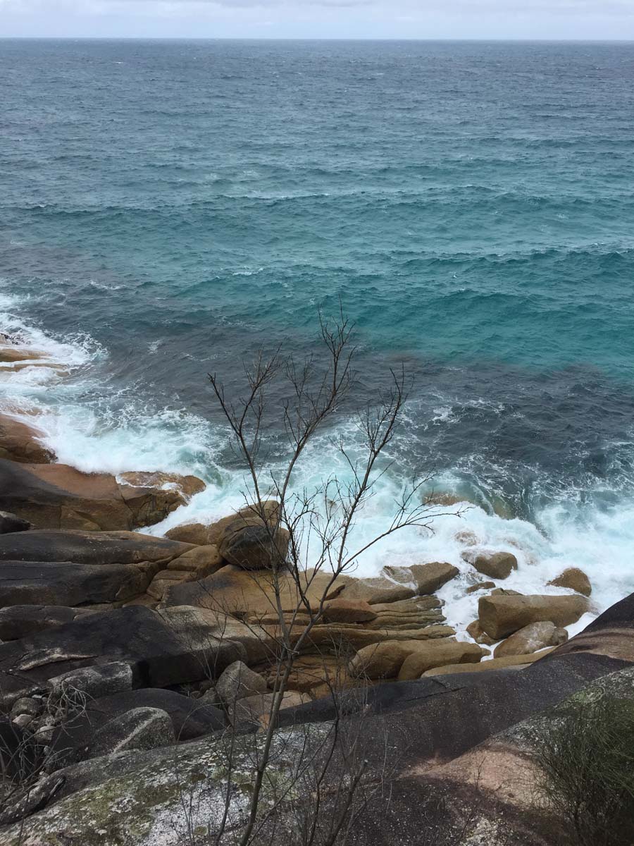 Wilsons prom eastern circuit hike 9