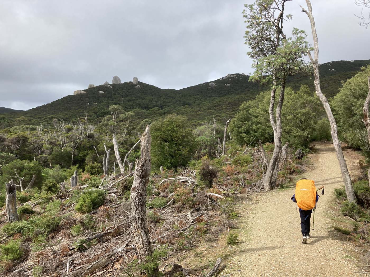 Little waterloo bay hike (1)