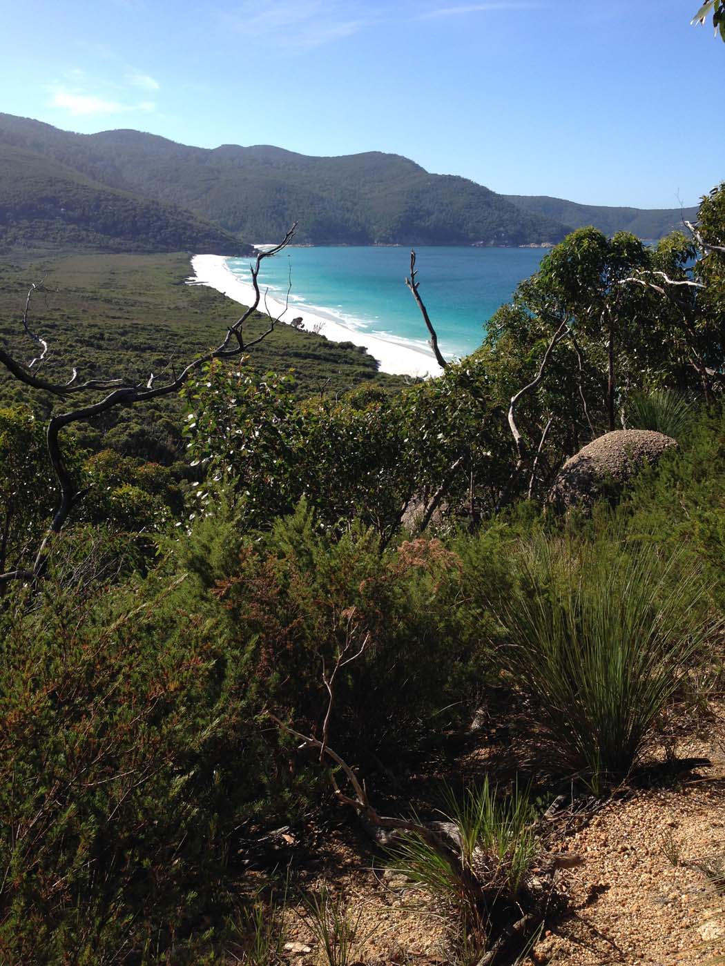 Little waterloo bay hike (12)