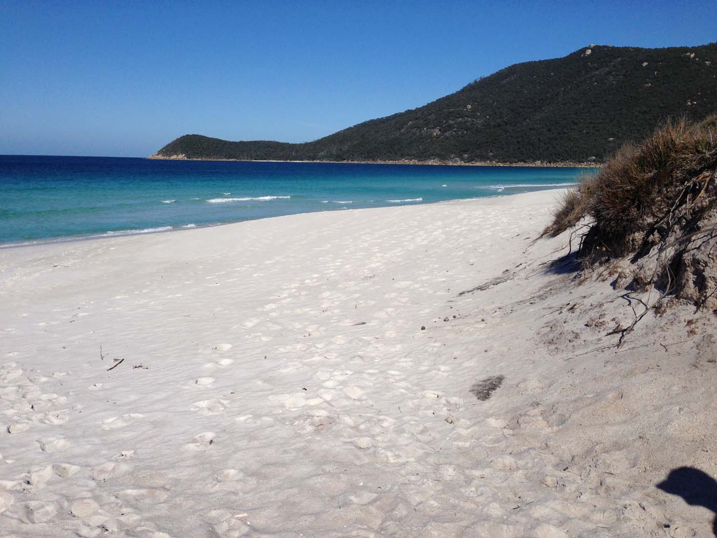 Little waterloo bay hike (13)