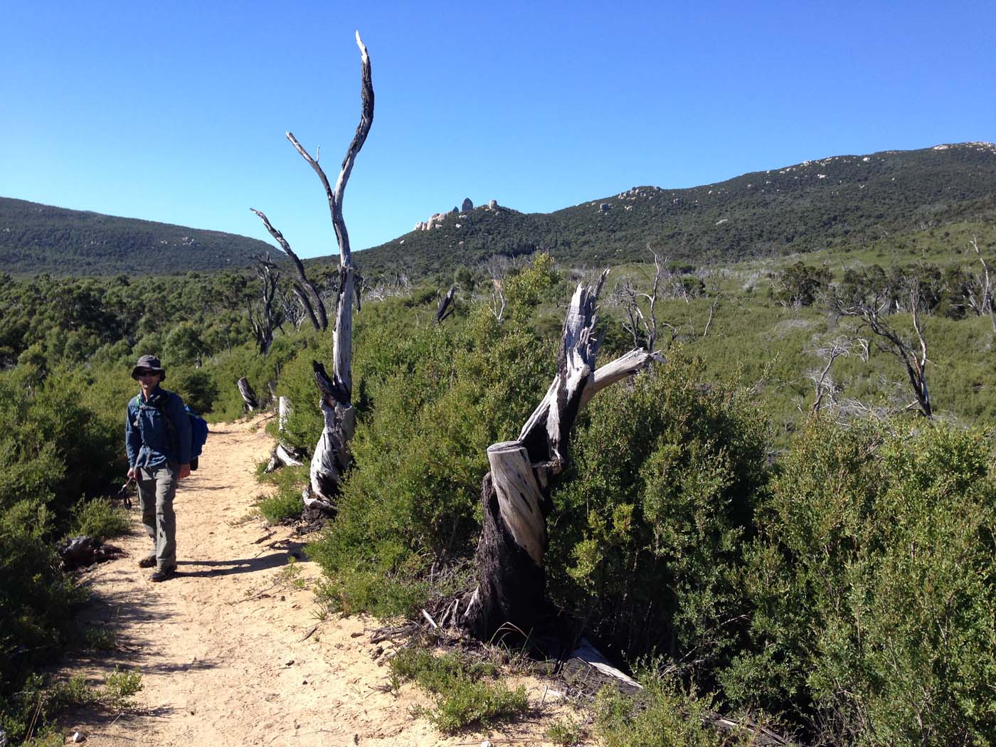 Little waterloo bay hike (15)
