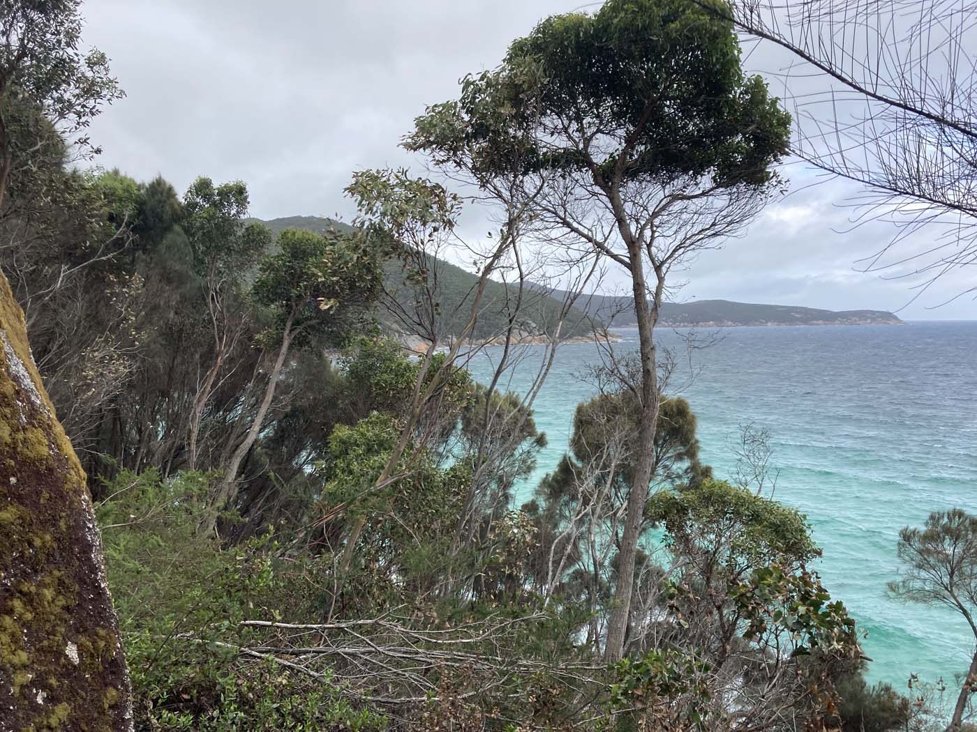 Little waterloo bay hike (2)