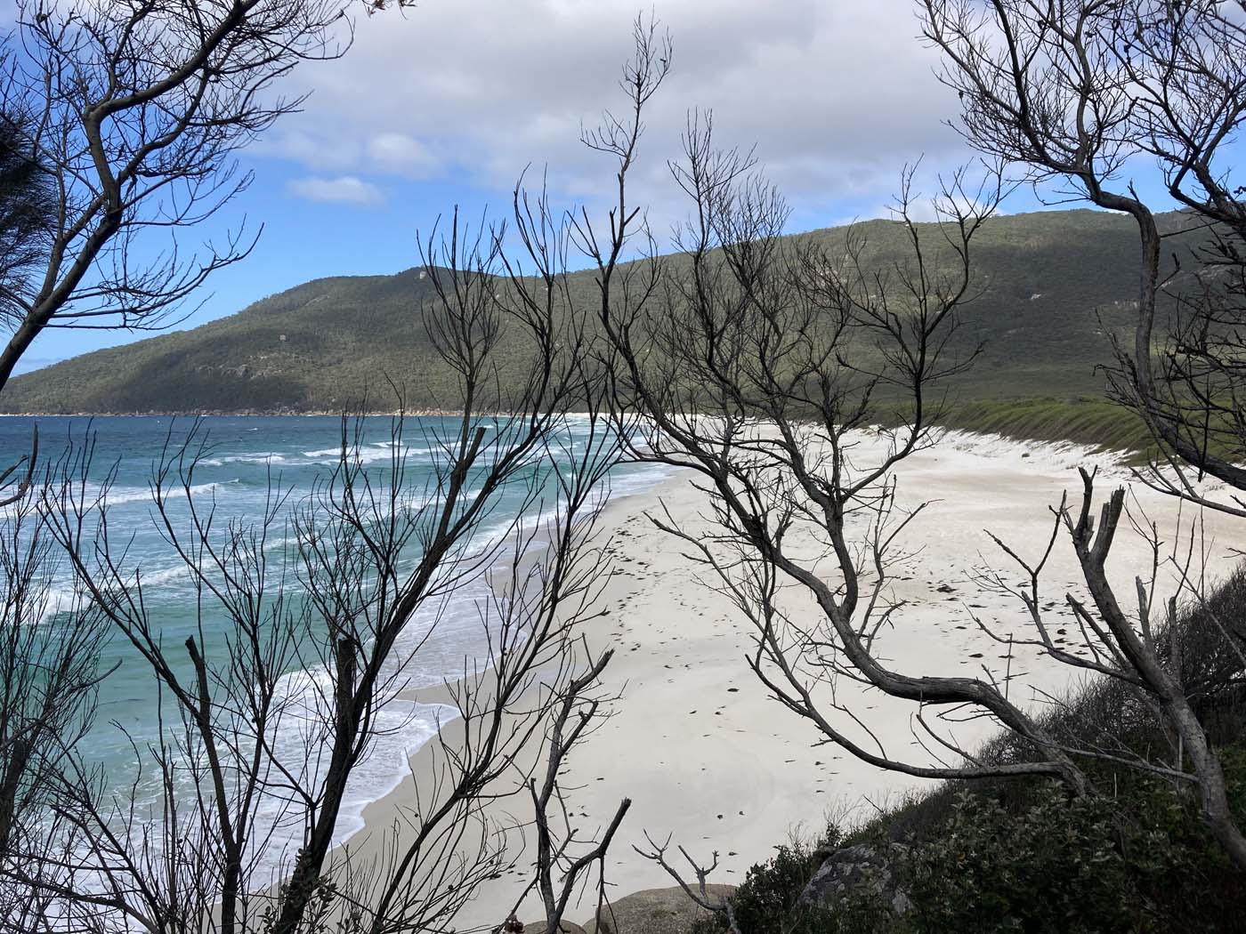 Little waterloo bay hike (3)