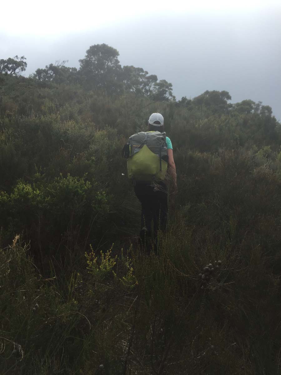 Wilsons prom northern circuit hike 61