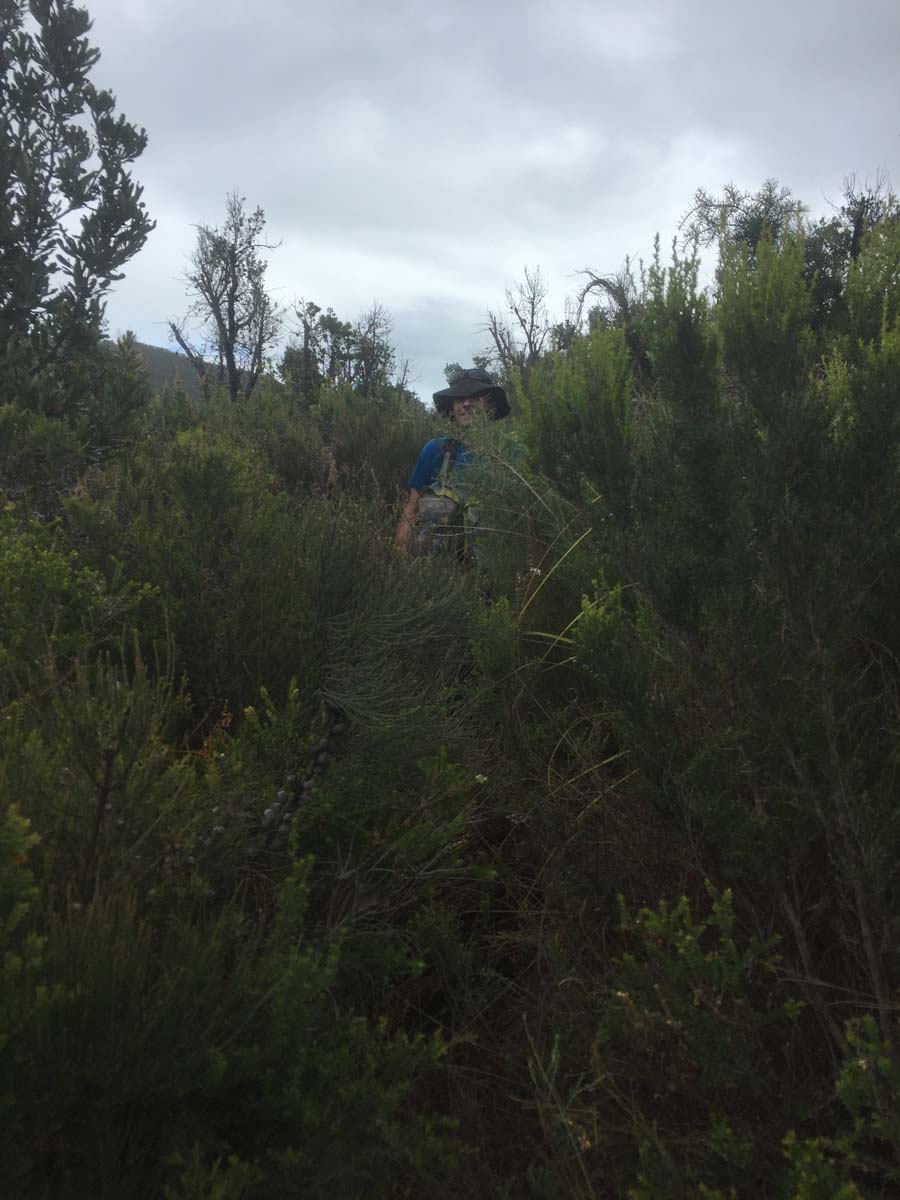 Wilsons prom northern circuit hike 62
