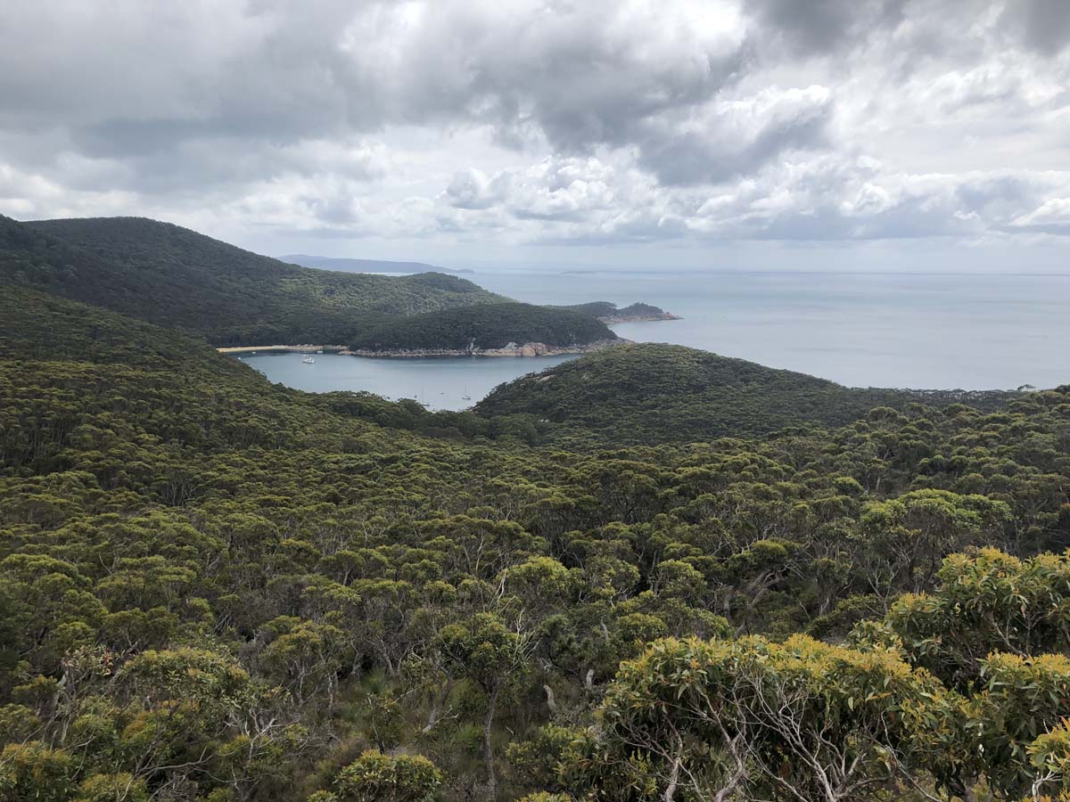 Wilsons prom refuge cove hike 13