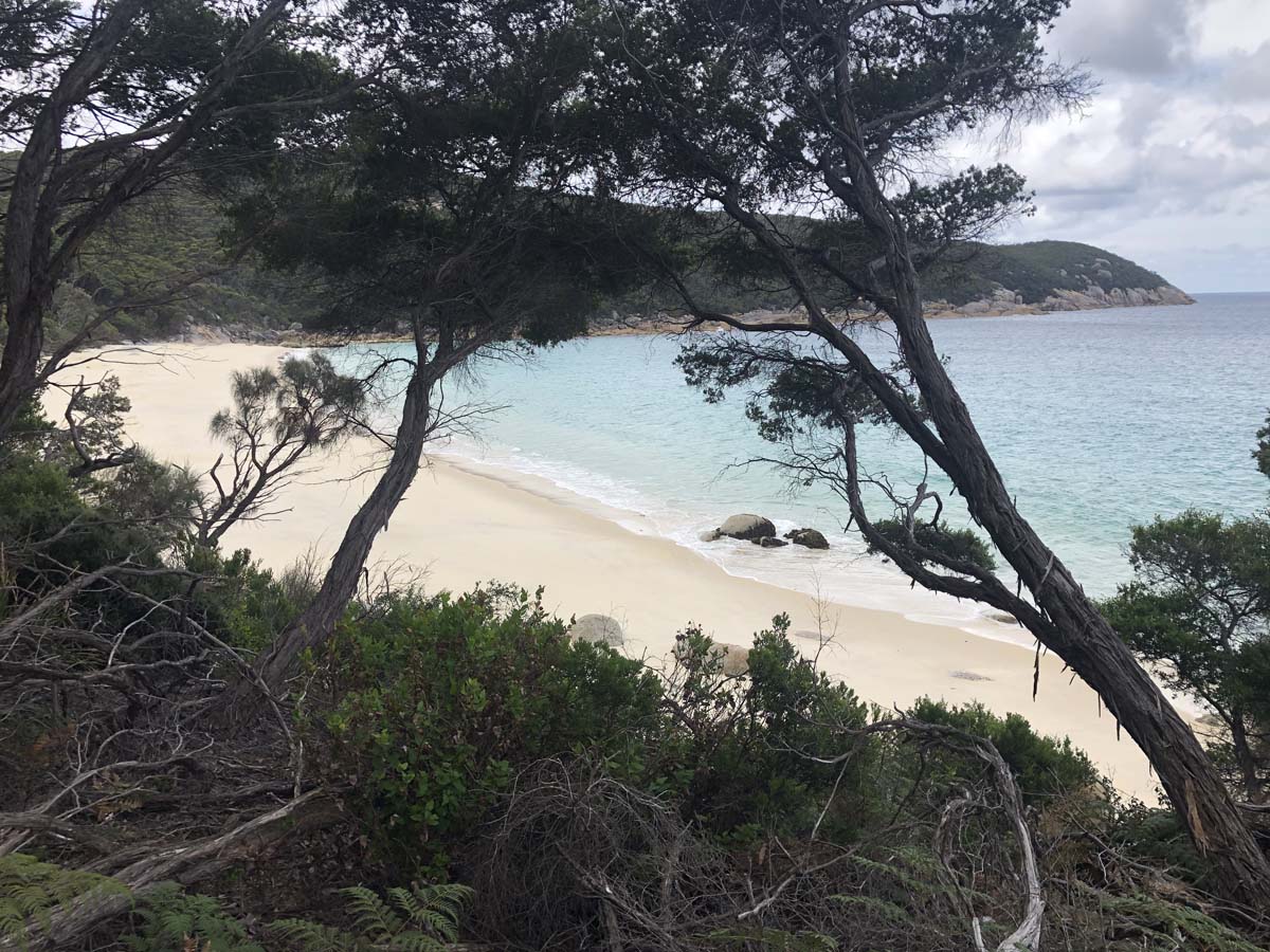 Wilsons prom refuge cove hike 15