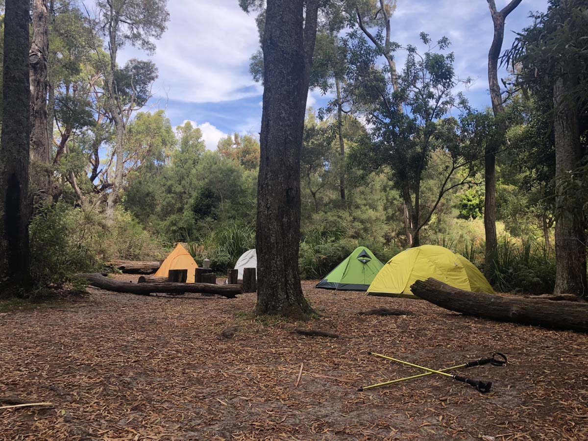 Wilsons prom refuge cove hike 22