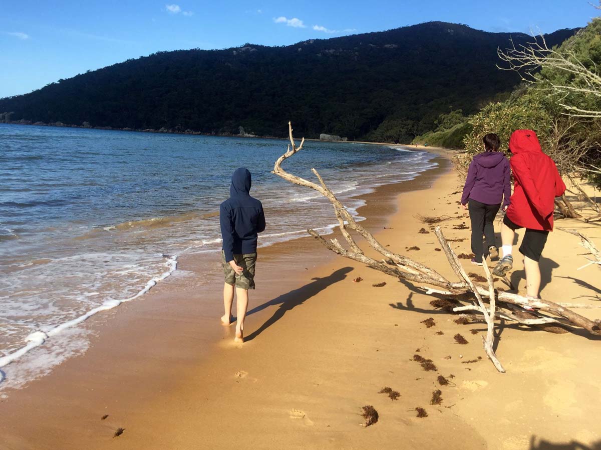 Wilsons prom sealers cove hike 6