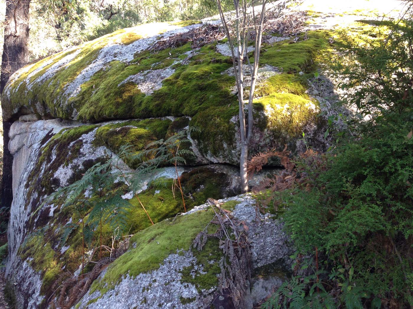 Wilsons prom south east circuit hike (16)