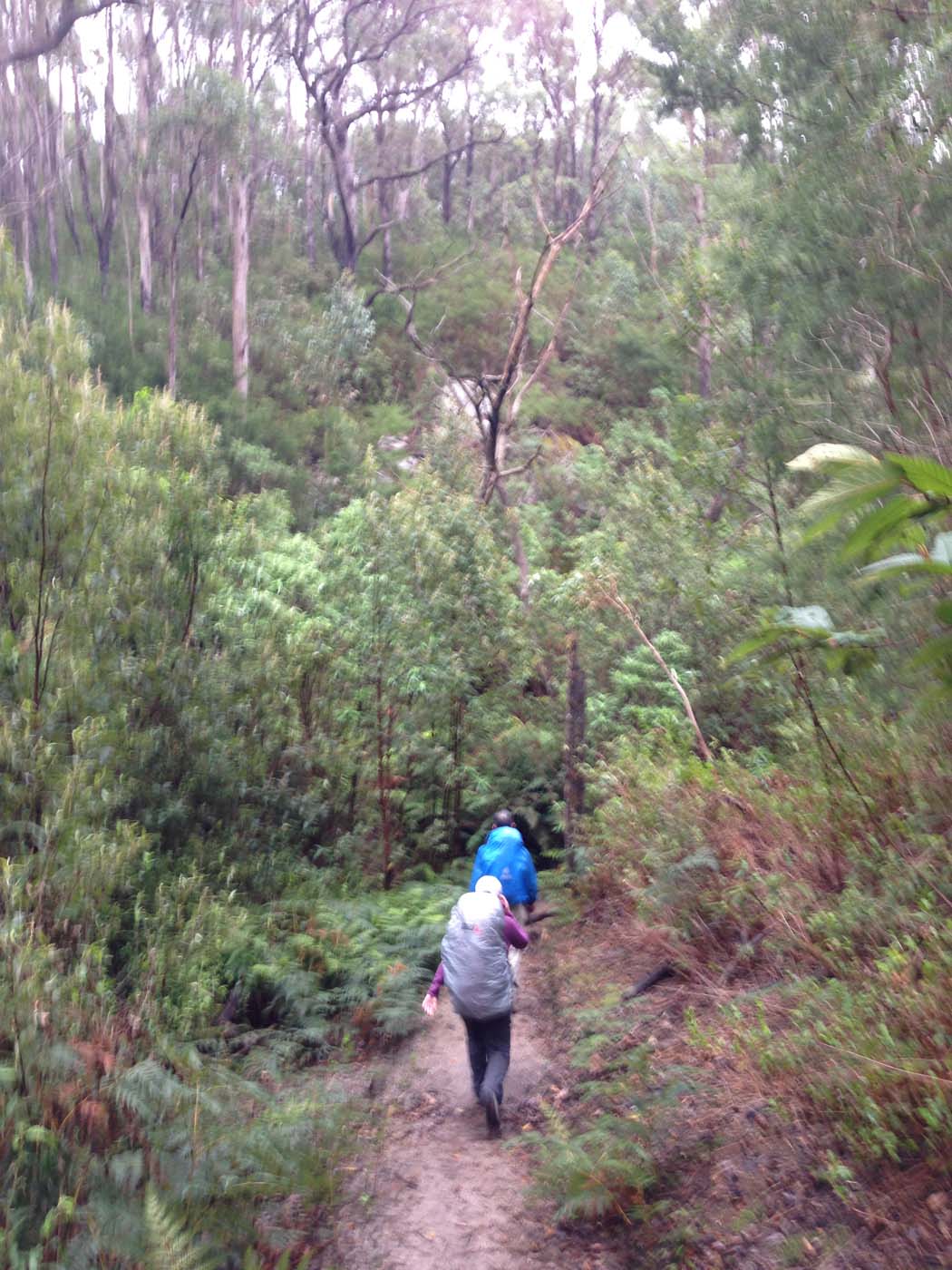 Wilsons prom south east circuit hike (26)