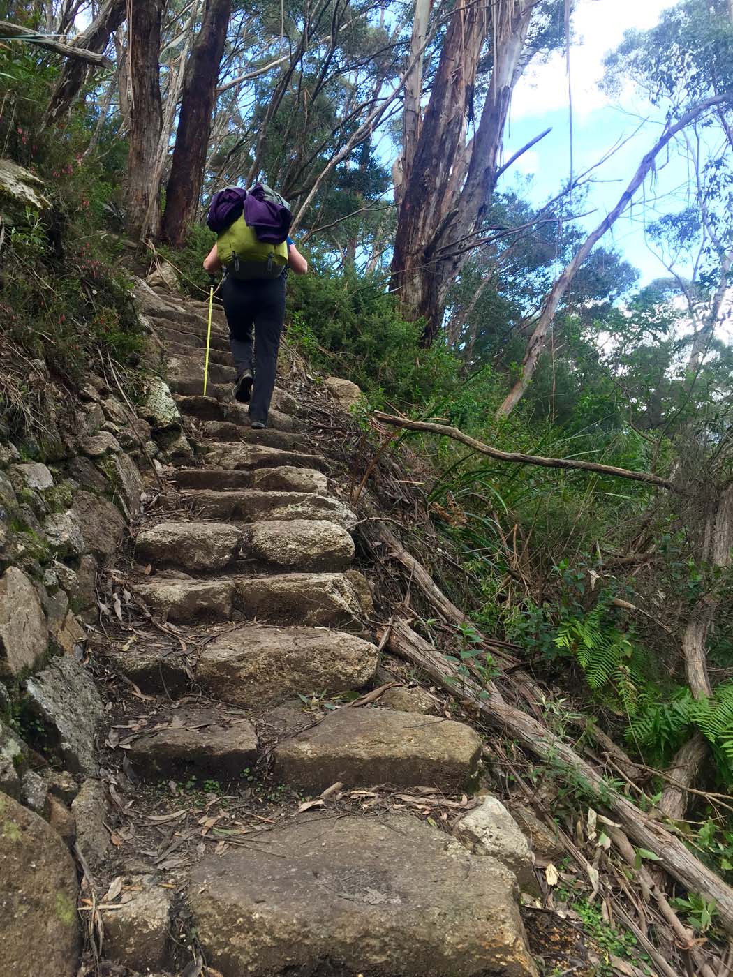 Wilsons prom south east circuit hike (3)