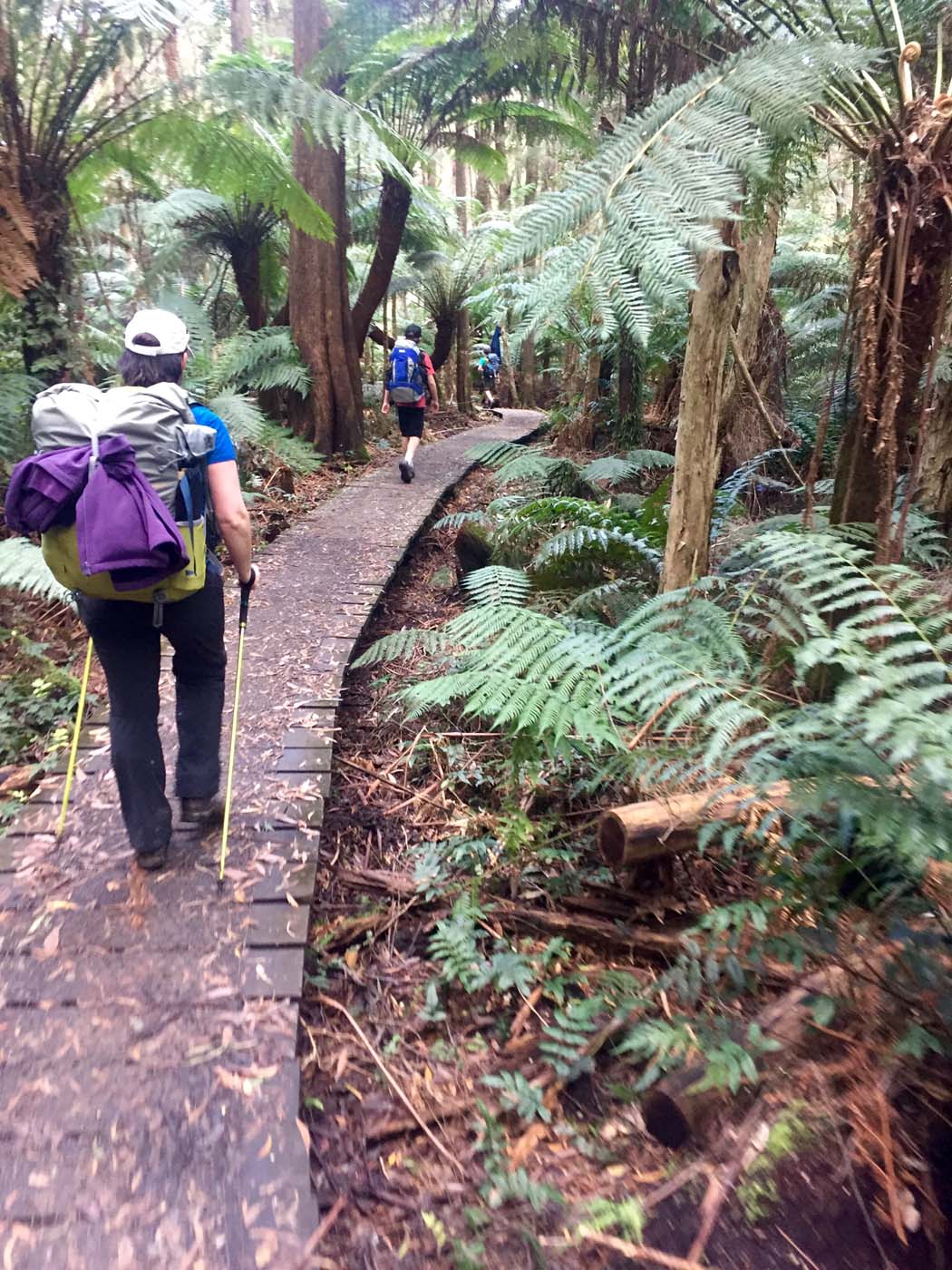 Wilsons prom south east circuit hike (6)