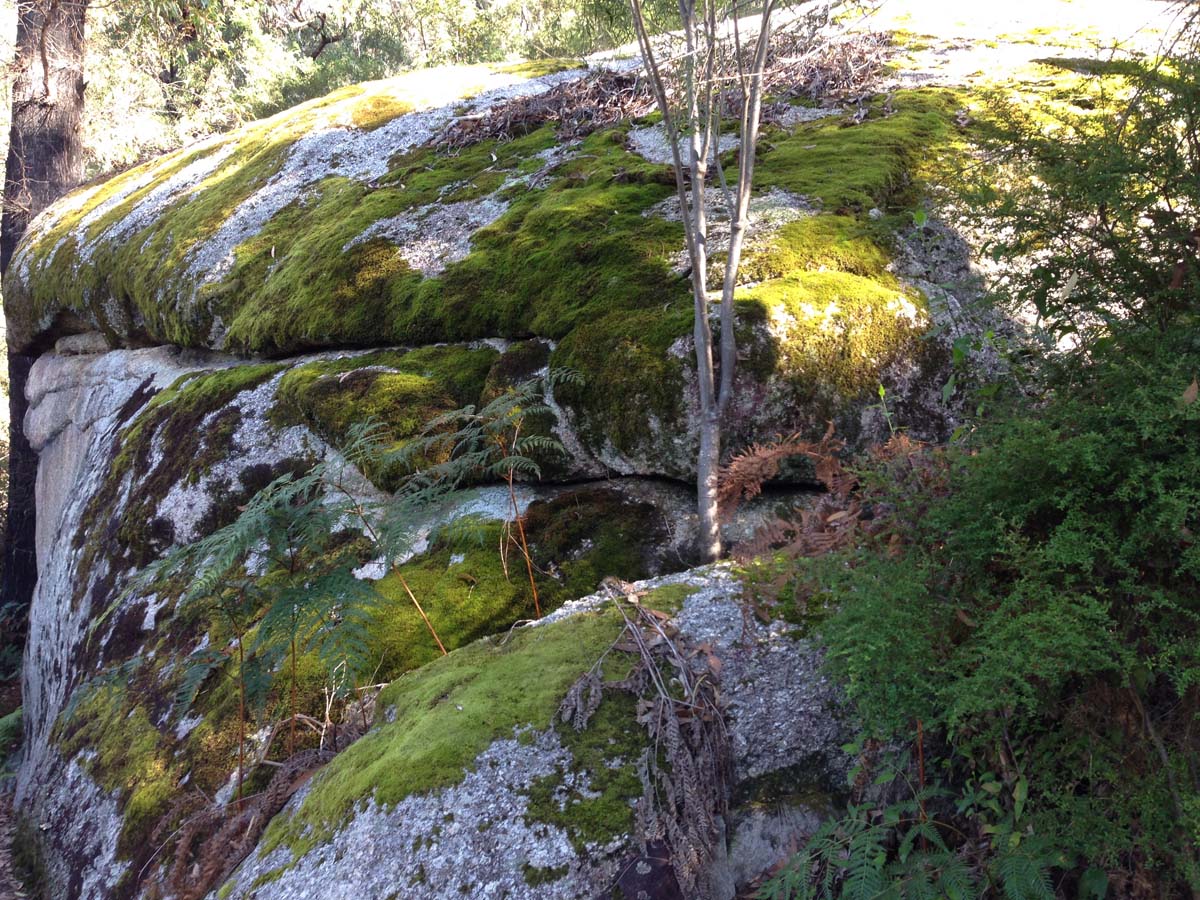 Wilsons prom southern circuit hike 8