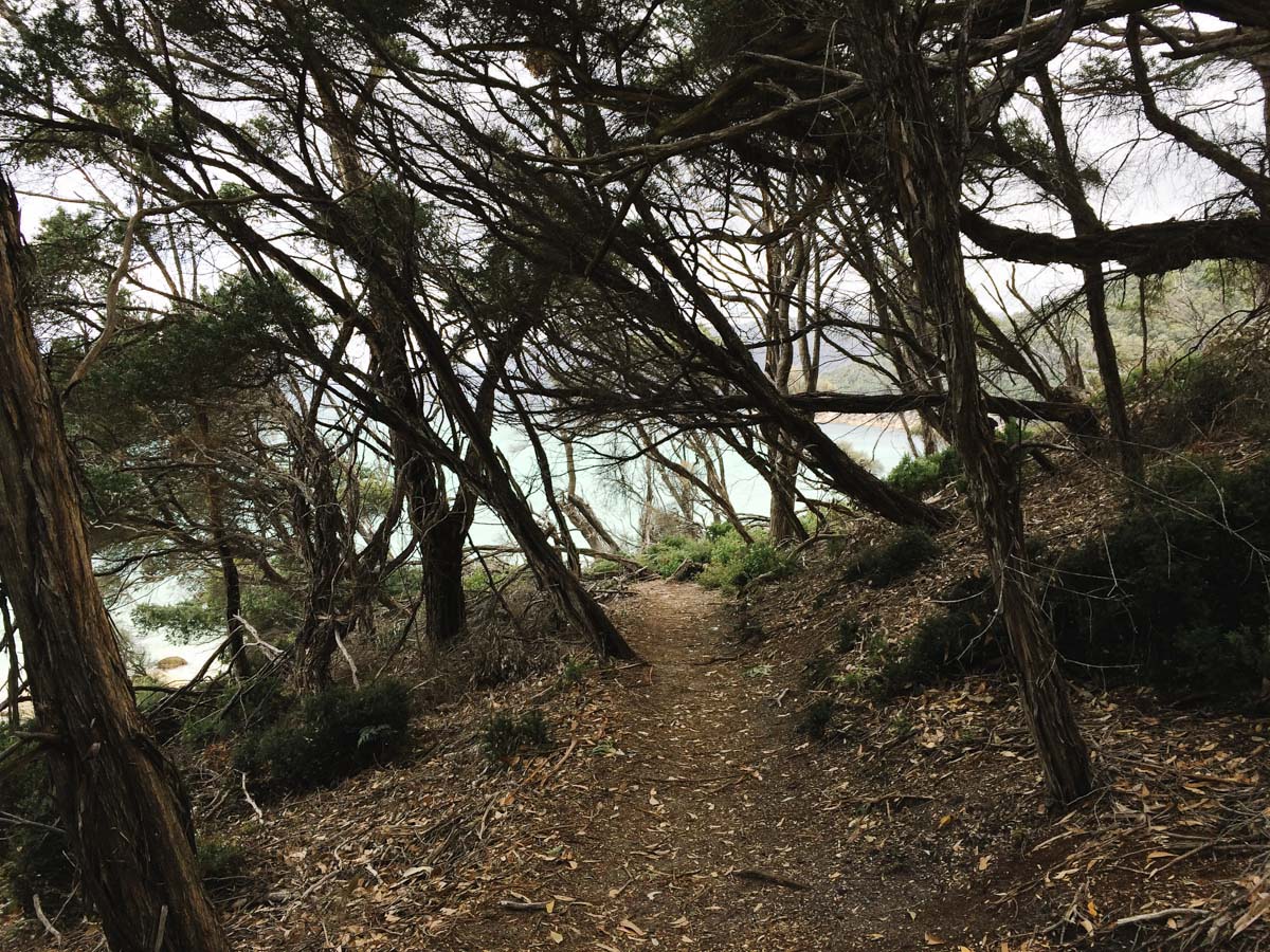 Wilsons prom southern circuit hike 80