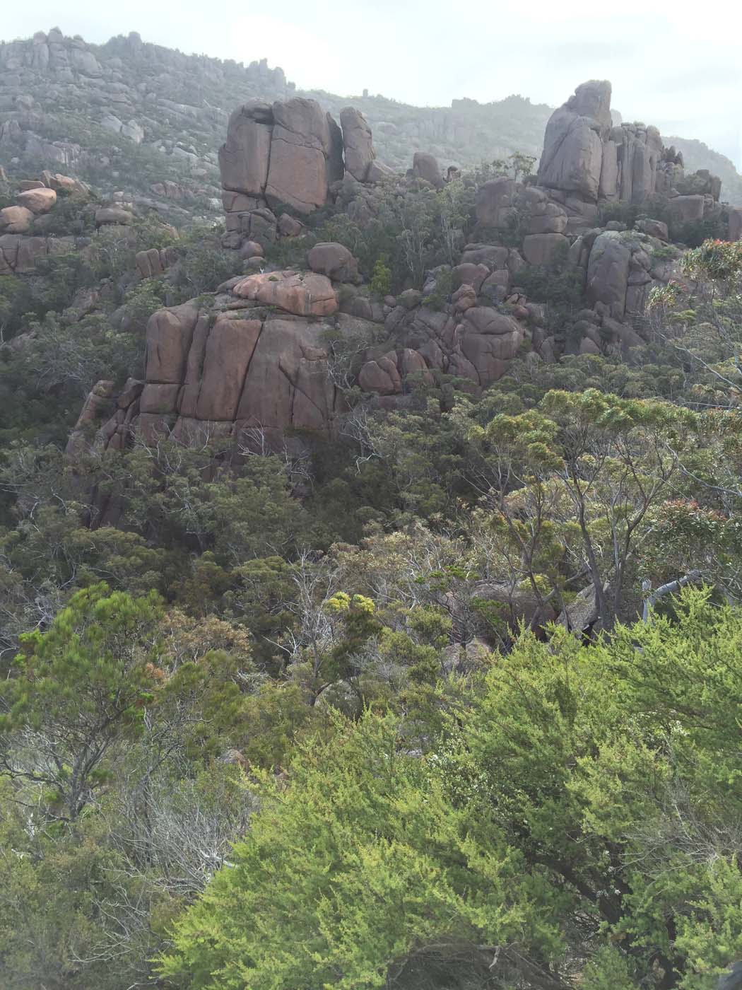 Wineglass bay hazards (4)