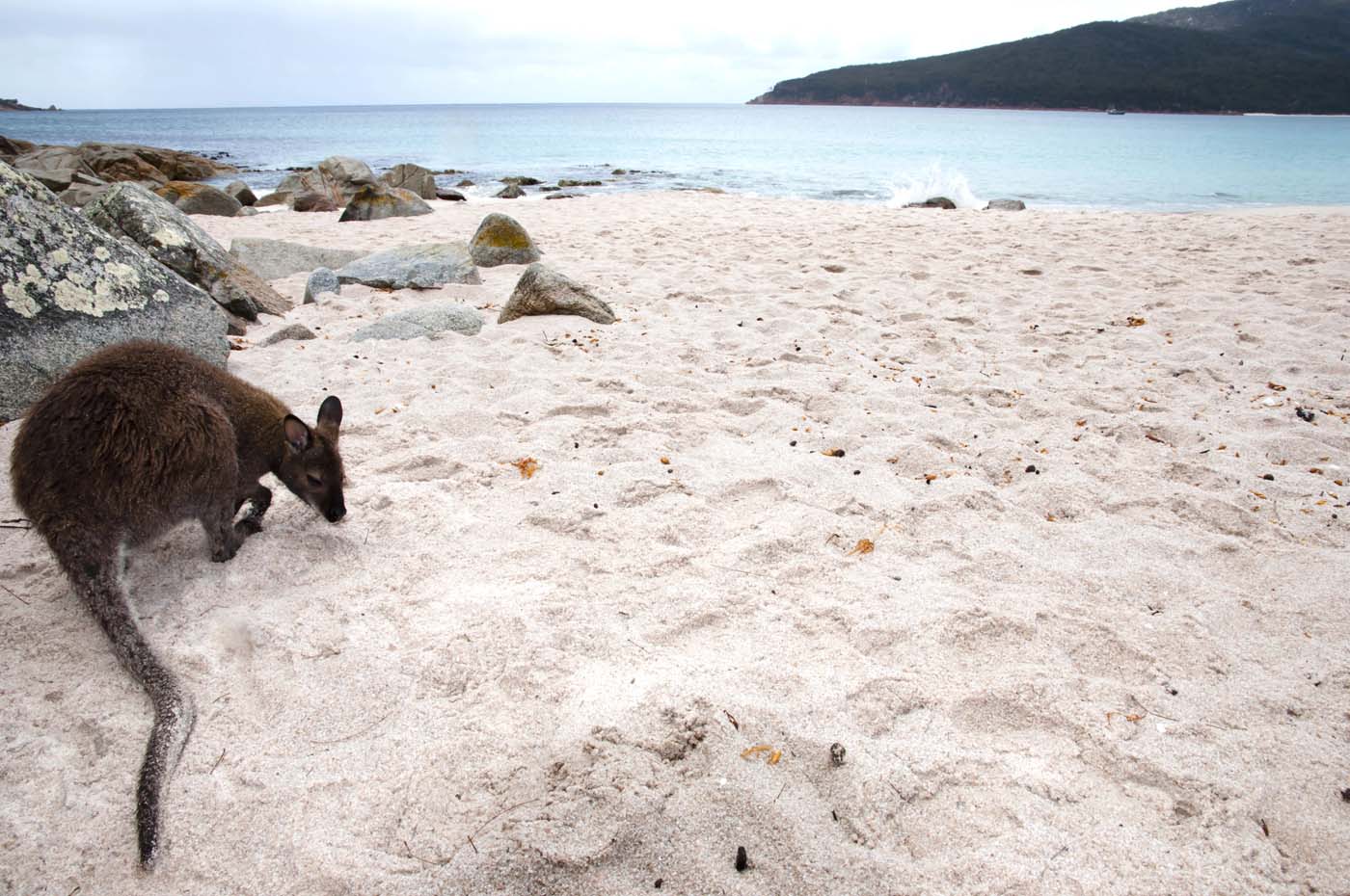 Wineglass bay hazards (6)