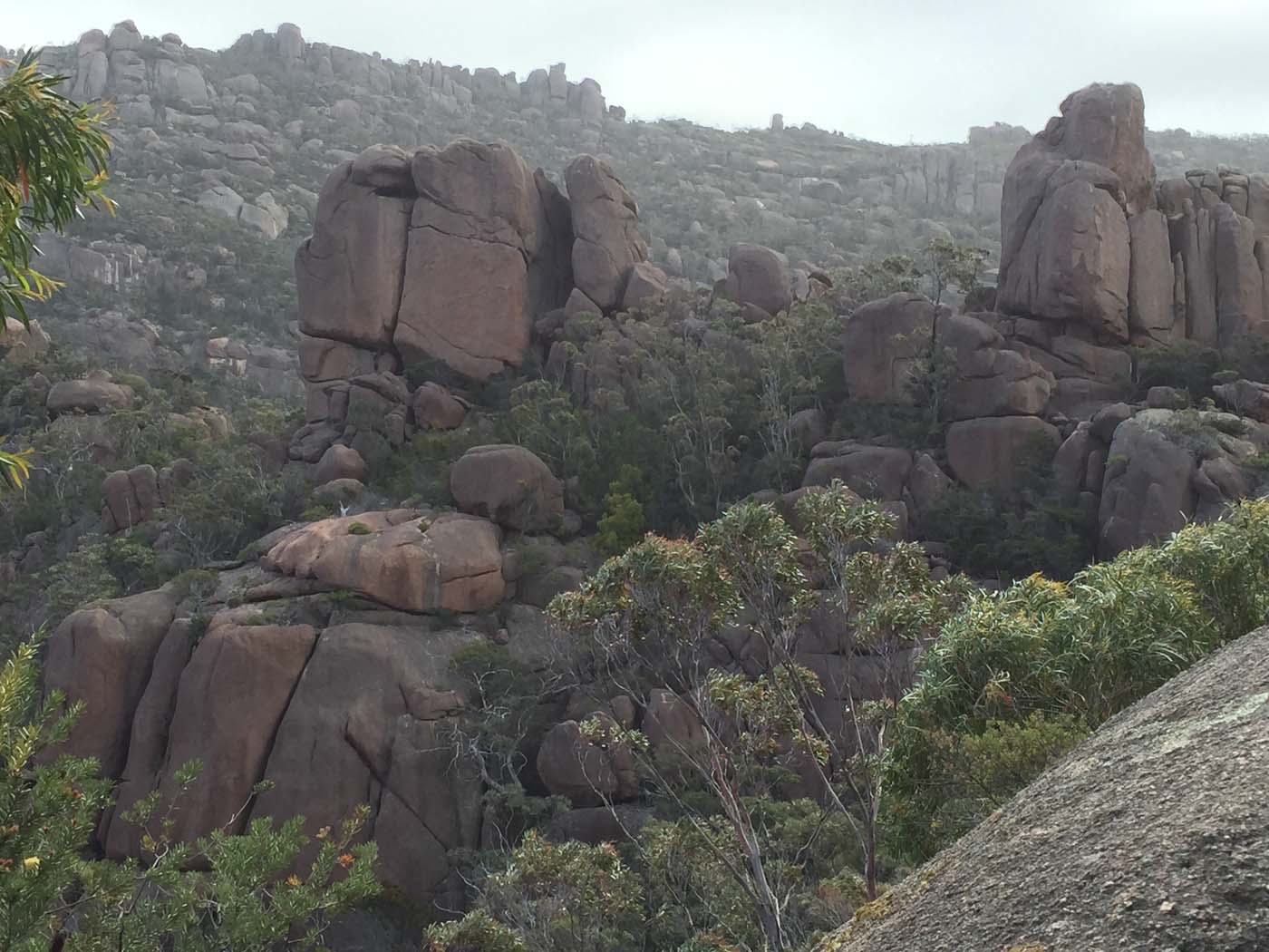 Wineglass bay hike (6)