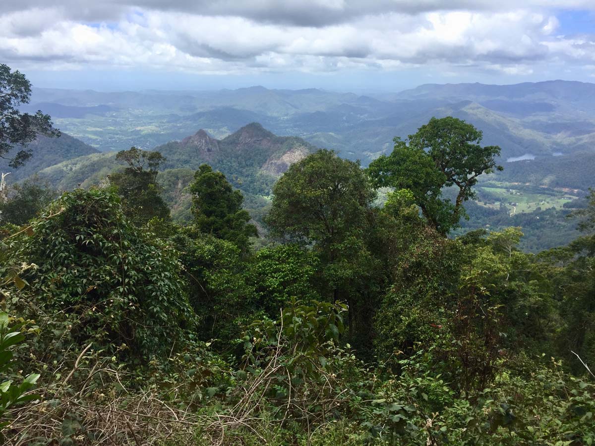 Wollumbin hike summit track 11