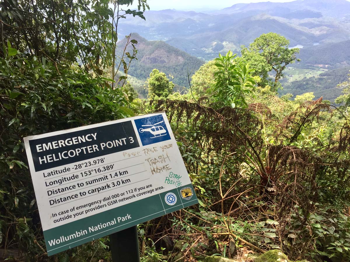 Wollumbin hike summit track 13