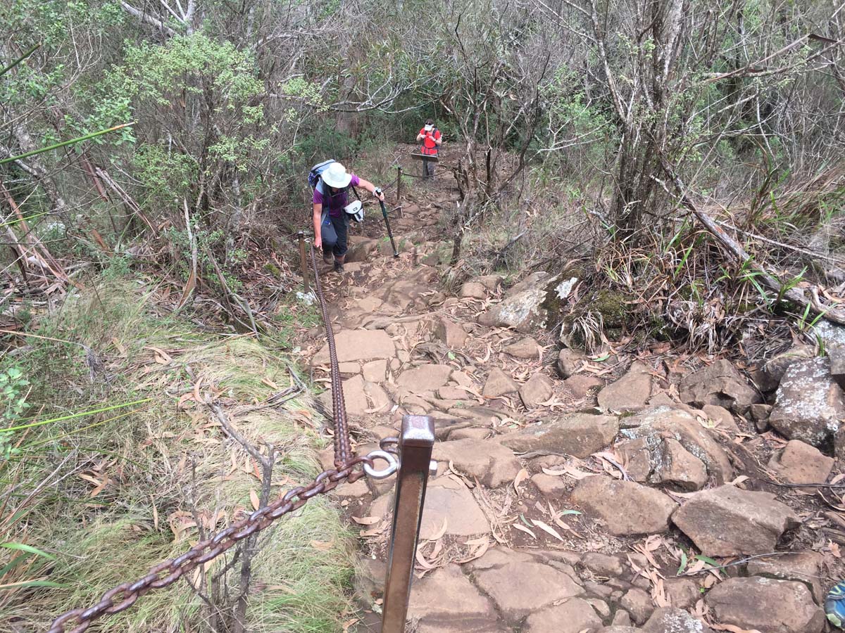 Wollumbin hike summit track 24