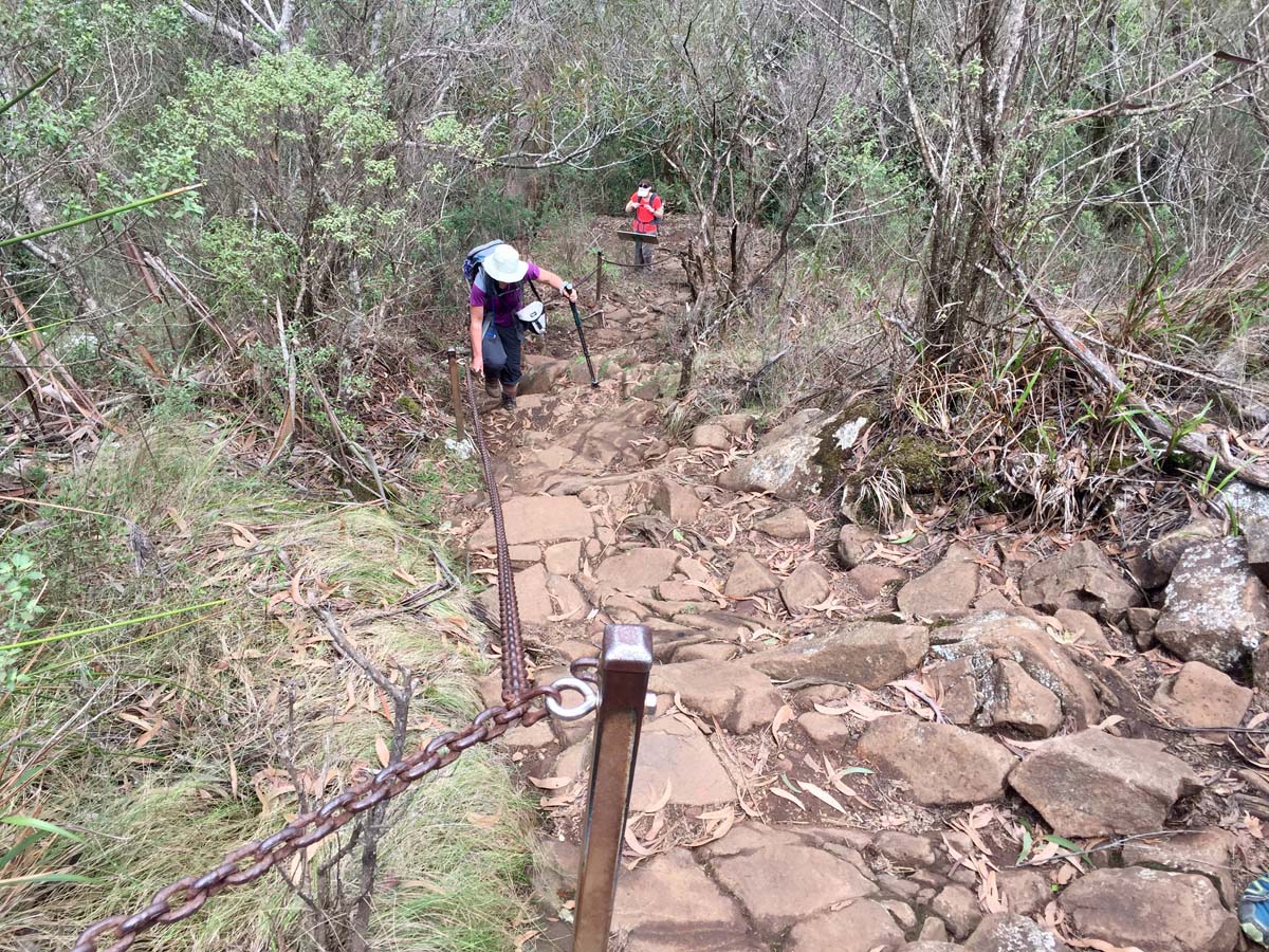 Wollumbin hike summit track 25