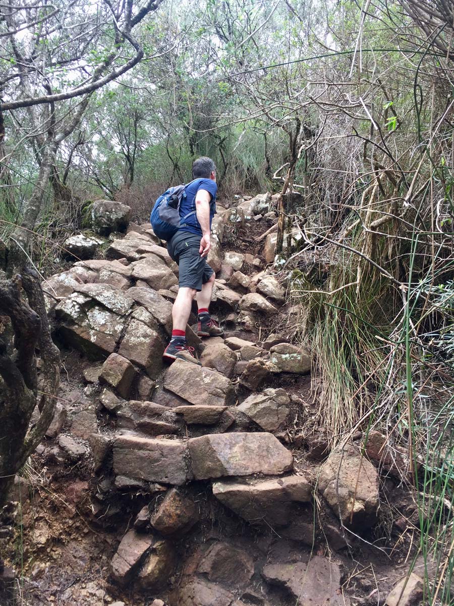 Wollumbin hike summit track 28