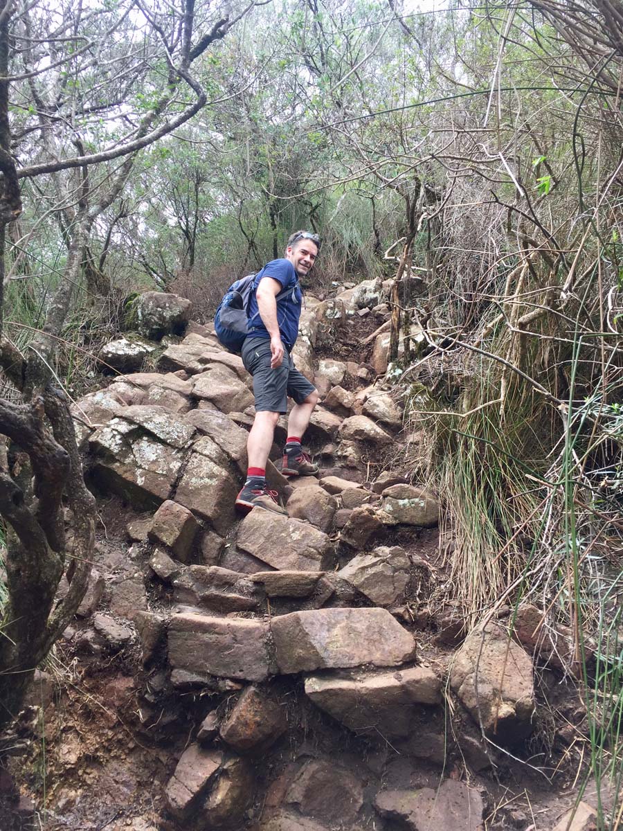 Wollumbin hike summit track 29