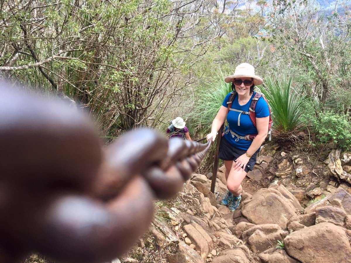 Wollumbin hike summit track 35