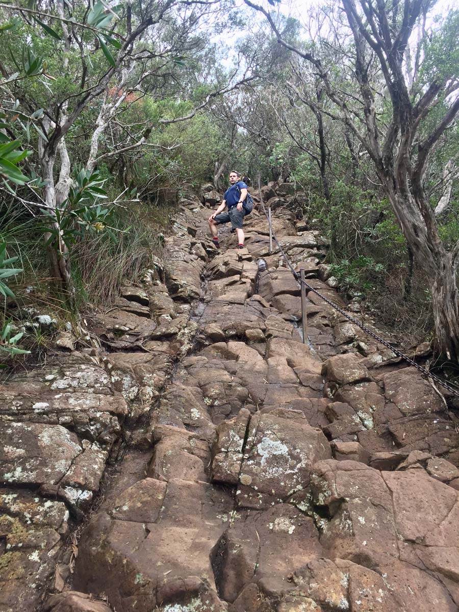 Wollumbin hike summit track 37