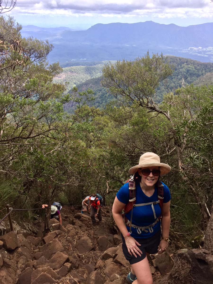 Wollumbin hike summit track 39